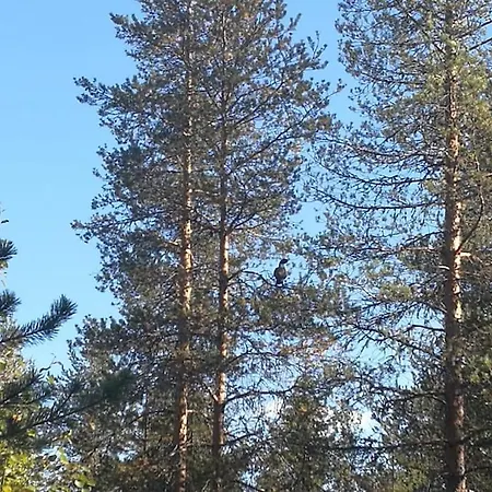 A Real Gem In Wilderness For Active Outdoorers