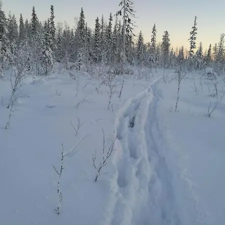 A Real Gem In Wilderness For Active Outdoorers Kierinki