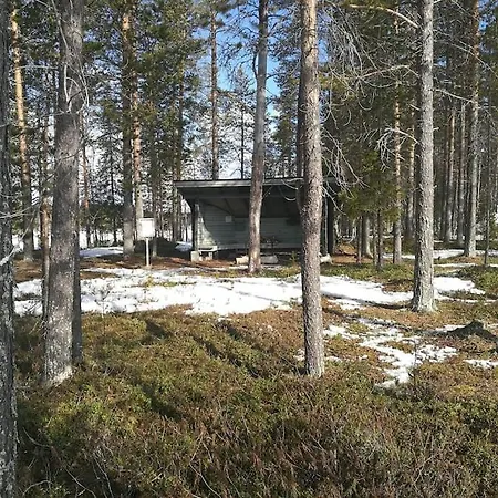 别墅 A Real Gem In Wilderness For Active Outdoorers Kierinki